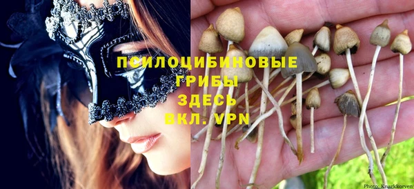 а пвп мука Алзамай