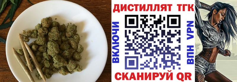 ТГК концентрат Лесной