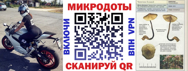 Псилоцибиновые грибы ЛСД  Лесной 