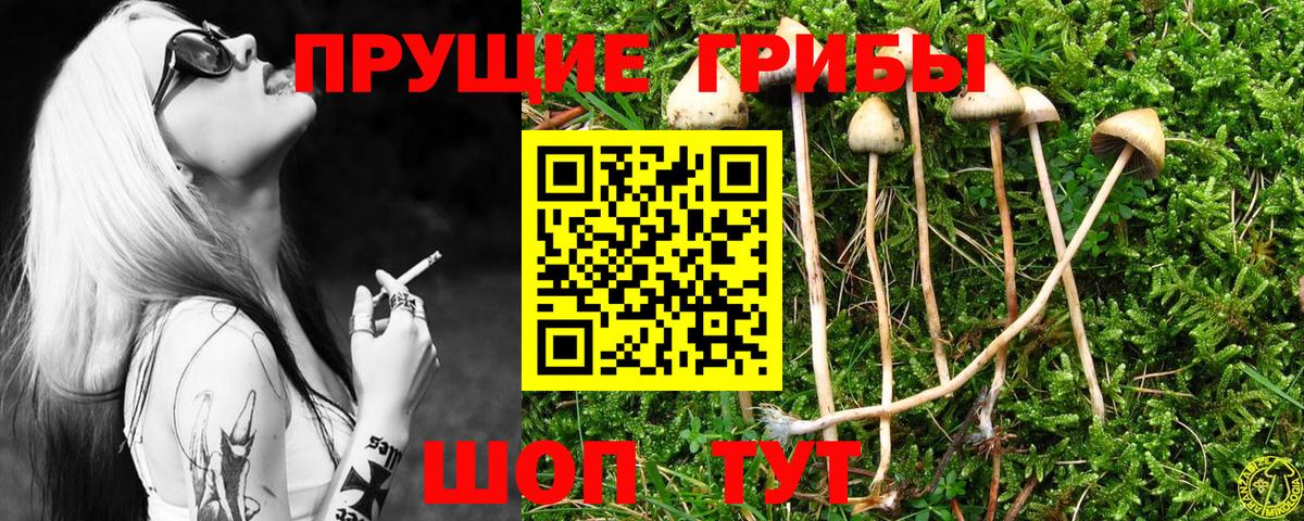 Лесной  Галлюциногенные грибы мухоморы  Вход с VPN 