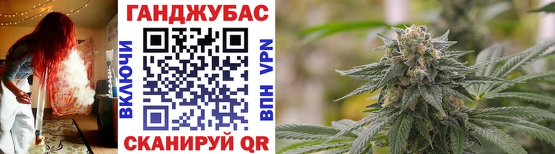 купить наркоту  Лесной  Бошки Шишки гибрид 