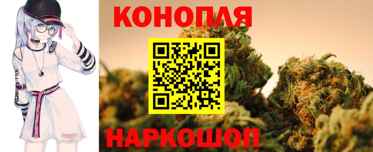Лесной  Бошки Шишки конопля  Конопля планчик  Вход с VPN  Канабис OG Kush 